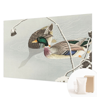 Vlies-Fototapete fürs Wohnzimmer mit ruhigen Enten als Motiv