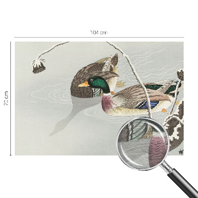 Vlies-Fototapete fürs Wohnzimmer mit ruhigen Enten als Motiv