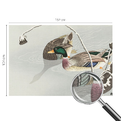 Vlies-Fototapete fürs Wohnzimmer mit ruhigen Enten als Motiv