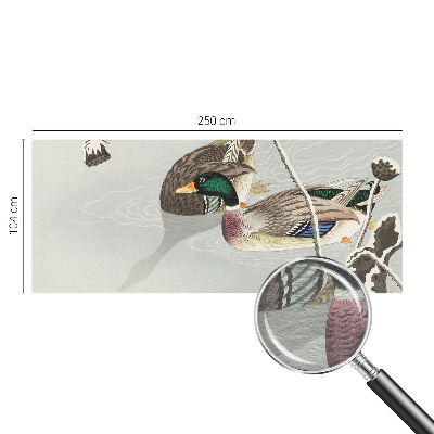 Vlies-Fototapete fürs Wohnzimmer mit ruhigen Enten als Motiv