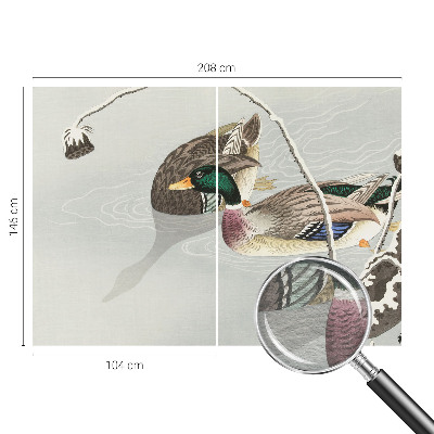 Vlies-Fototapete fürs Wohnzimmer mit ruhigen Enten als Motiv
