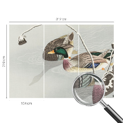 Vlies-Fototapete fürs Wohnzimmer mit ruhigen Enten als Motiv
