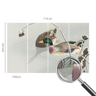 Vlies-Fototapete fürs Wohnzimmer mit ruhigen Enten als Motiv