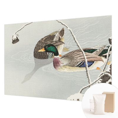 Vlies-Fototapete fürs Wohnzimmer mit ruhigen Enten als Motiv
