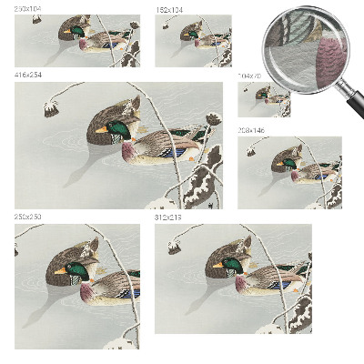 Vlies-Fototapete fürs Wohnzimmer Ruhige Enten