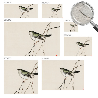 Bedruckte Vlies-Fototapete Harmonischer Vogel