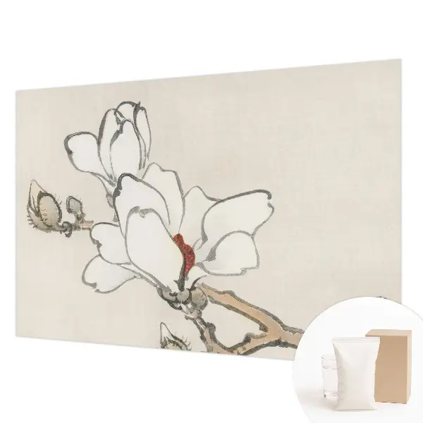 Fototapete mit zarten Magnolienmotiven