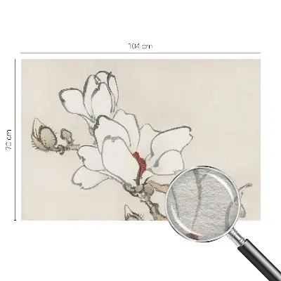 Fototapete mit zarten Magnolienmotiven