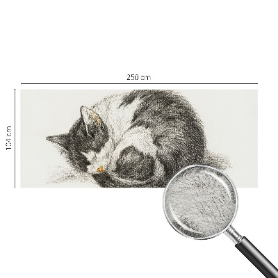 Vlies-Fototapete mit einem Motiv einer entzückenden Katze