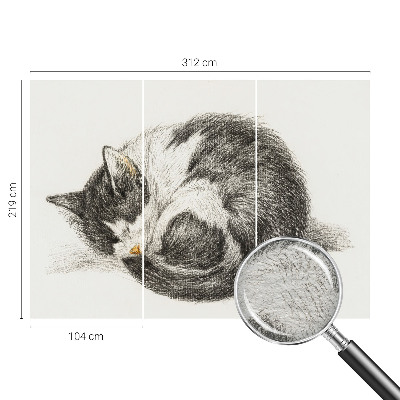 Vlies-Fototapete entzückende Katze