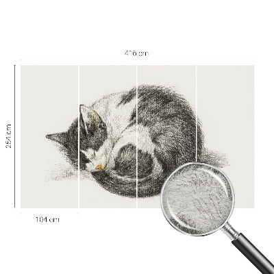 Vlies-Fototapete mit einem Motiv einer entzückenden Katze
