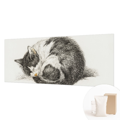 Vlies-Fototapete mit einem Motiv einer entzückenden Katze