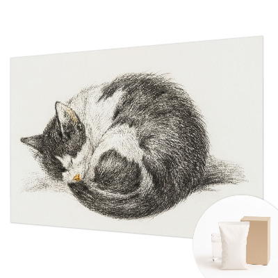 Vlies-Fototapete entzückende Katze