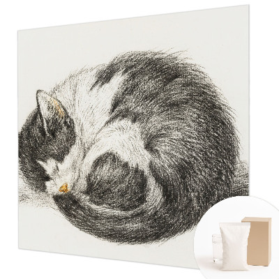 Vlies-Fototapete entzückende Katze