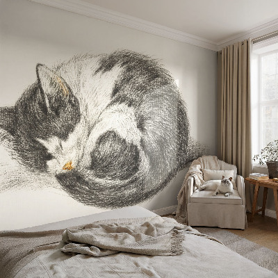 Vlies-Fototapete mit einem Motiv einer entzückenden Katze