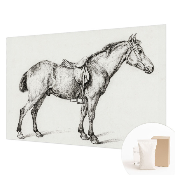 Fototapete fürs Wohnzimmer Skizze eines Pferdes