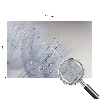 Fototapete aus Vlies mit Motiv eines taubedeckten Löwenzahns