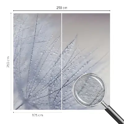 Fototapete aus Vlies mit Motiv eines taubedeckten Löwenzahns