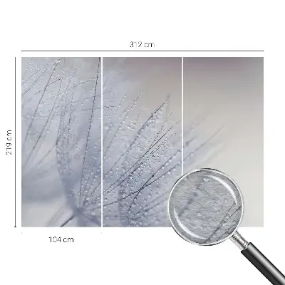 Fototapete aus Vlies mit Motiv eines taubedeckten Löwenzahns