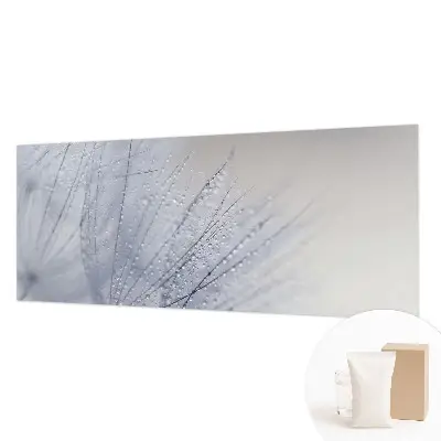 Fototapete aus Vlies mit Motiv eines taubedeckten Löwenzahns