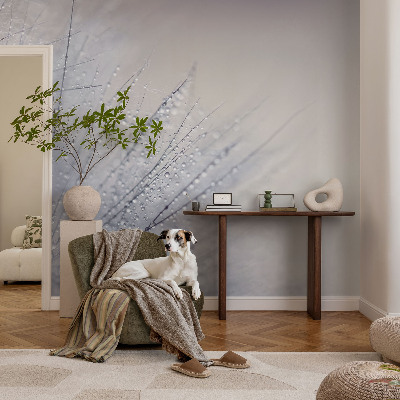 Fototapete aus Vlies Taubedeckter Löwenzahn