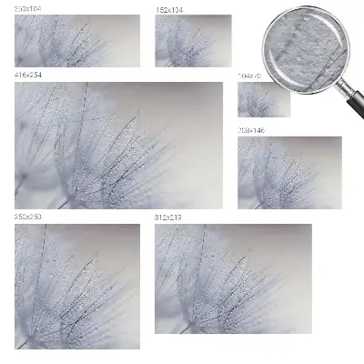 Fototapete aus Vlies mit Motiv eines taubedeckten Löwenzahns