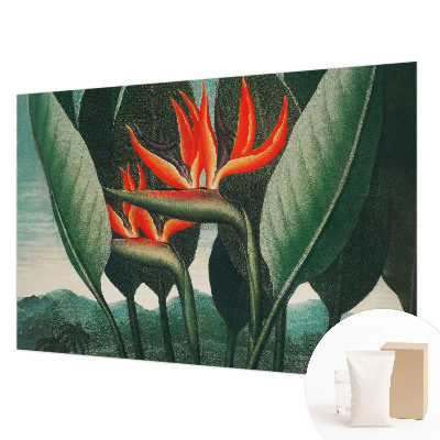 Vlies-Fototapete fürs Wohnzimmer Exotische Blumen