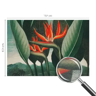 Vlies-Fototapete fürs Wohnzimmer mit exotischem Blumenmotiv