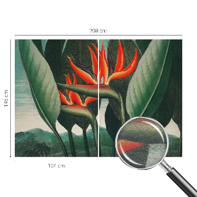 Vlies-Fototapete fürs Wohnzimmer Exotische Blumen