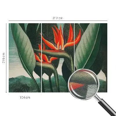 Vlies-Fototapete fürs Wohnzimmer mit exotischem Blumenmotiv