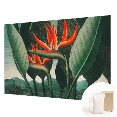 Vlies-Fototapete fürs Wohnzimmer mit exotischem Blumenmotiv