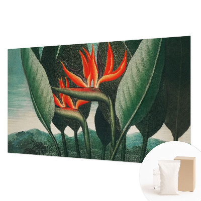 Vlies-Fototapete fürs Wohnzimmer Exotische Blumen