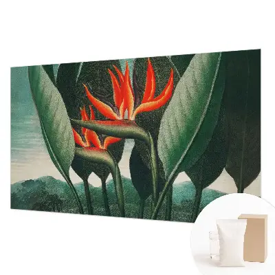 Vlies-Fototapete fürs Wohnzimmer mit exotischem Blumenmotiv