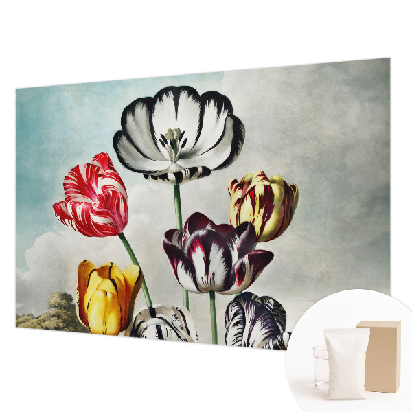 Fototapete aus Vlies Bunte Tulpen