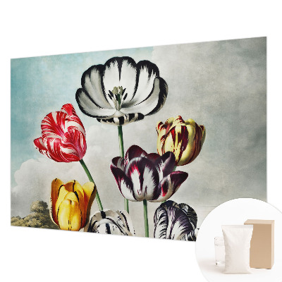 Fototapete aus Vlies Bunte Tulpen