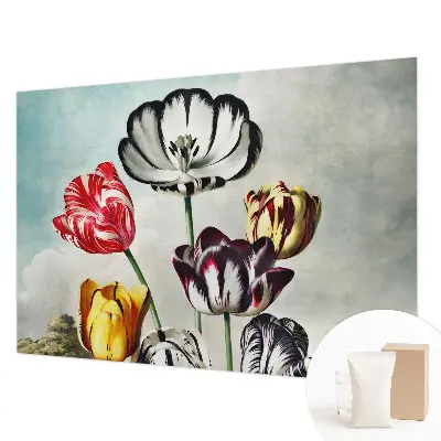Fototapete aus Vlies mit bunten Tulpen als Motiv