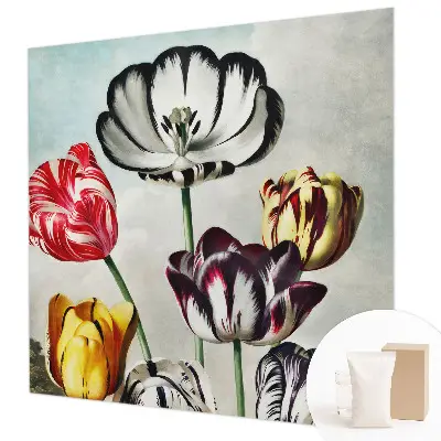 Fototapete aus Vlies mit bunten Tulpen als Motiv