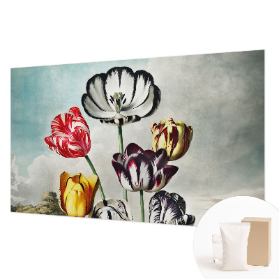 Fototapete aus Vlies Bunte Tulpen