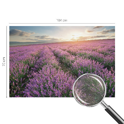 Vlies-Fototapete Lavendelfelder