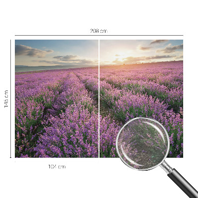 Vlies-Fototapete mit Motiv von Lavendelfeldern