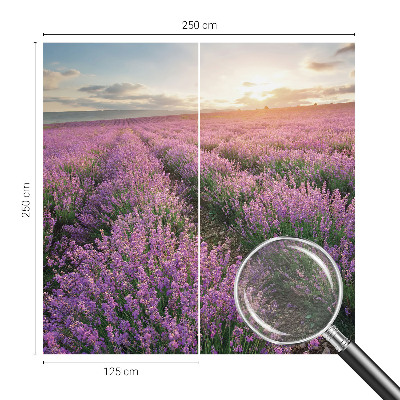 Vlies-Fototapete mit Motiv von Lavendelfeldern