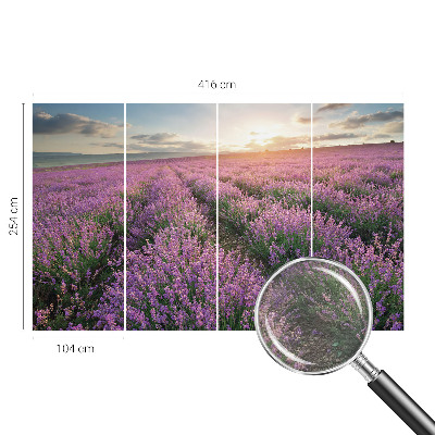 Vlies-Fototapete mit Motiv von Lavendelfeldern