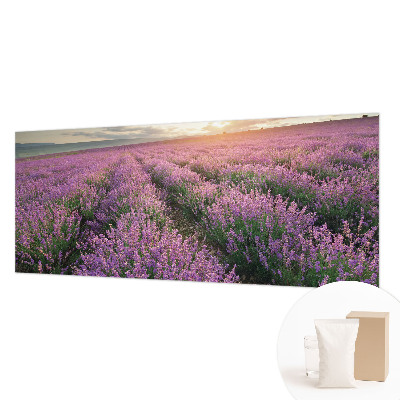 Vlies-Fototapete Lavendelfelder