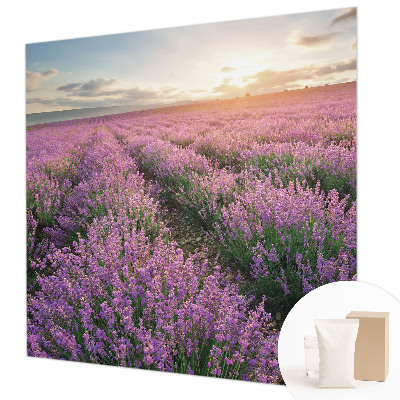 Vlies-Fototapete Lavendelfelder