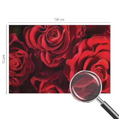 Fototapete fürs Wohnzimmer mit rotem Rosenmotiv