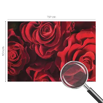 Fototapete fürs Wohnzimmer mit rotem Rosenmotiv