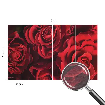 Fototapete fürs Wohnzimmer mit rotem Rosenmotiv