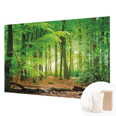 Fototapete fürs Schlafzimmer mit einem Motiv grüner Wald