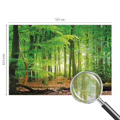 Fototapete fürs Schlafzimmer mit einem Motiv grüner Wald