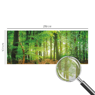 Fototapete fürs Schlafzimmer mit einem Motiv grüner Wald